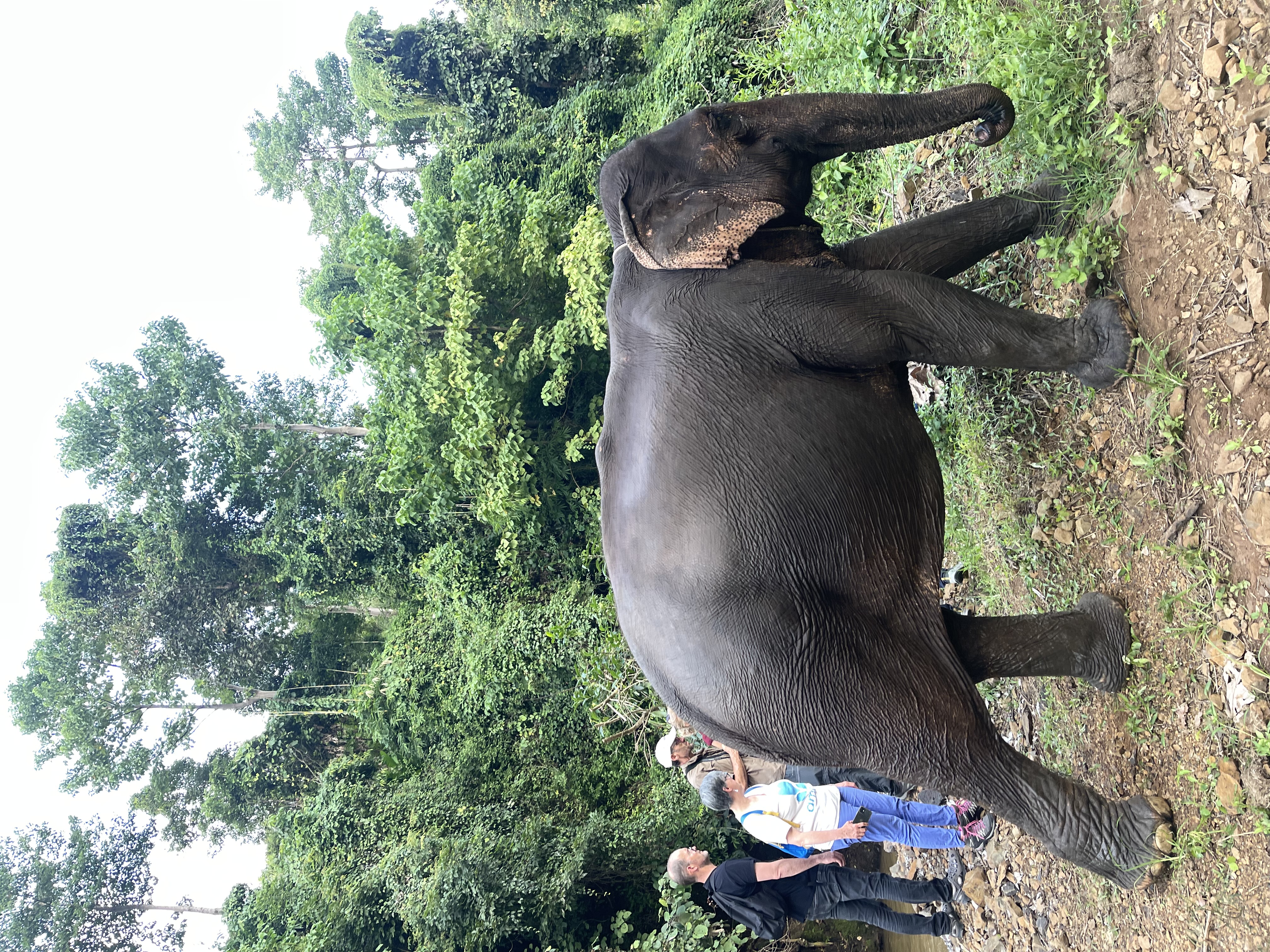 CIRCUIT 2 JOURS ANGKOR WAT-KOMPONG PLUK